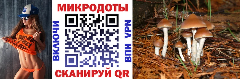 мориарти наркотические препараты  Белокуриха  Псилоцибиновые грибы ЛСД  ссылка на мегу ТОР 