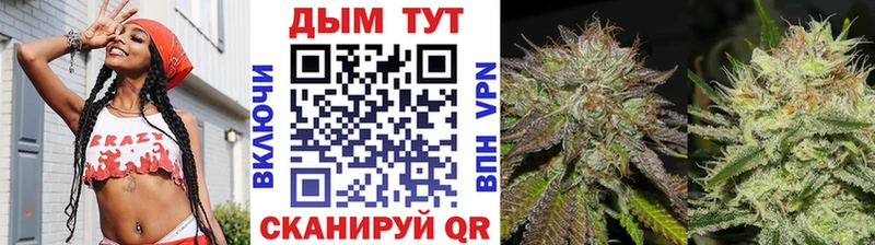 Каннабис SATIVA & INDICA  как найти закладки  Белокуриха 